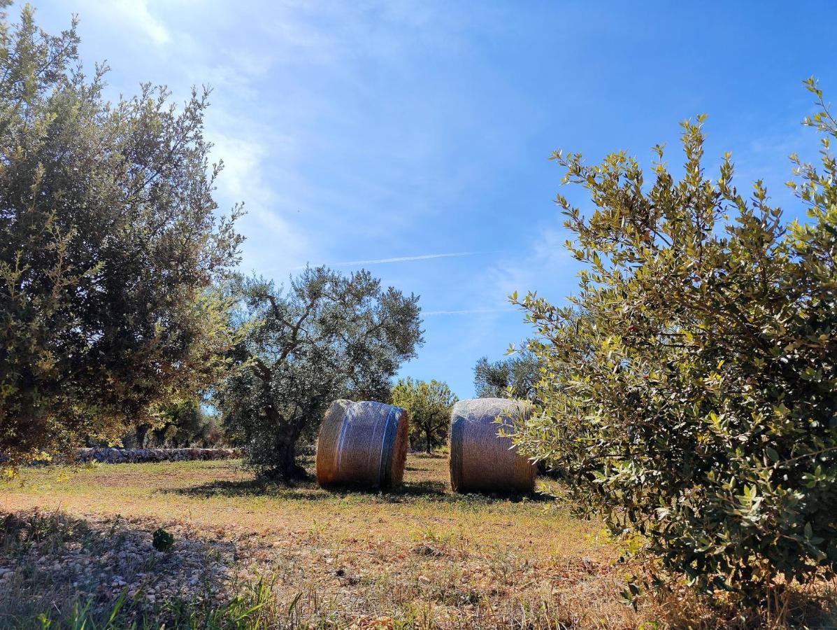 Come Una Volta - Il Trullo Alberobello Exterior foto